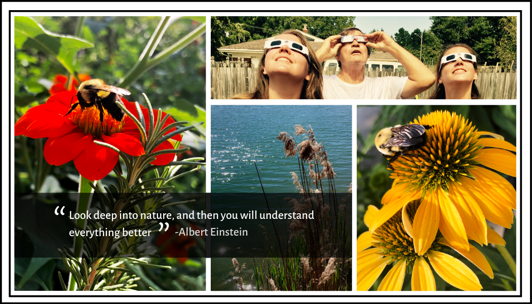 Look deep into nature, and then you will understand everything a little better. Albert Einstein