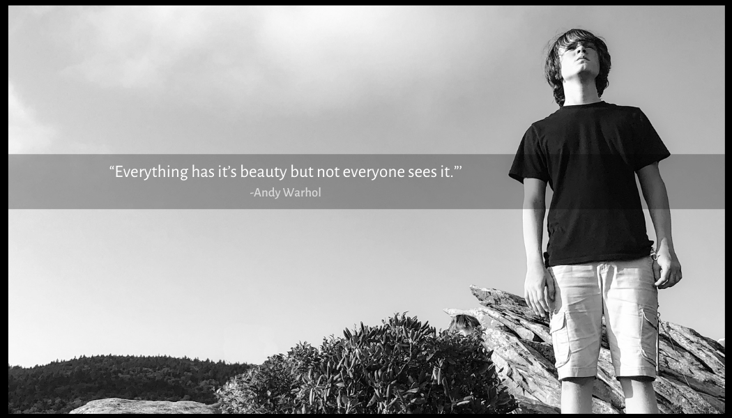 Everything has its beauty but not everyone sees it.
                                -Andy Warhol